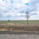 Bekötőút közelében!