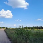 Össztömeg-korlátozás nélküli ipari telek M0-ig vezető úttal!