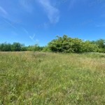 Balatonszemesi zártkerti ingatlan eladó