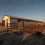 Eladó Gazdaság Jász-Nagykun Szolnok megyében!!