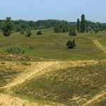 Eladó Mezőgazdasági terület Fülöpháza