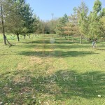 Eladó 4 hektáros birtok az osztrák határ közelében