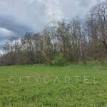 Erdő szántófölddel eladó Dunaföldváron!