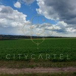 2 hektáros szántóföld eladó Dunaföldváron!