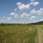 Budakeszi határában szép fekvésű, 8325 nm külterületi telek eladó!