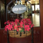 Eladó Szálloda, panzió Budaörs