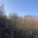 Eladó Környei zártkert