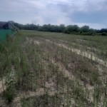 6000 nm terület eladó.