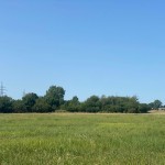 Eladó Ipari terület