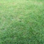 Eladó Építési telek Göd