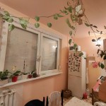 Eladó Tabán utcai  2  és fél szobás  lakás !