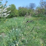 Eladó Építési telek Budaörs